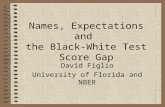 Names, Expectations and  the Black-White Test Score Gap