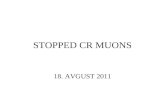 STOPPED CR MUONS