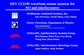 EEV CCD39 wavefront sensor cameras for AO and interferometry