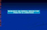 RESEARCH ON HERBAL DRUGS FOR            POULTRY & LIVESTOCK