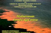 2° MARBEF TRAINING COURSE ON CHEMICAL METHODS IN MARINE ECOLOGY MICROORGANISMS