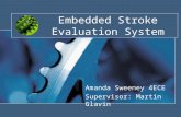 Embedded Stroke Evaluation System