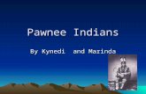 Pawnee Indians