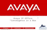 Avaya IP Office  “Convergence in a Box”