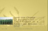 Land Use Change in Agriculture:  Yield Growth as a Potential Driver