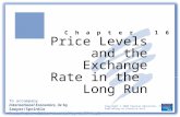 Price Levels and the Exchange Rate in the  Long Run