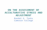 ON THE ASSESSMENT OF ACCULTURATIVE STRESS AND ADJUSTMENT
