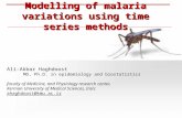 Modelling of malaria variations using time series methods