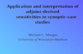 Application and interpretation of adjoint-derived       sensitivities in synoptic-case studies