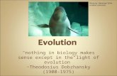 "nothing in biology makes sense except in the light of evolution”