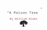 “A Poison Tree”