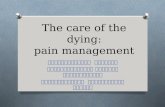 The care of the dying: pain management