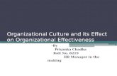 Organizational Culture and its Effect on Organizational Effectiveness