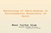 Monitoring of  Vibrio  cholerae in  Environmental Reservoirs  in Haiti
