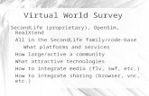 Virtual World Survey