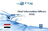 Chief Information Officers  (CIO)