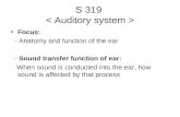 S 319  < Auditory system >