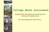 College Woods Assessment