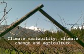 Climate variability, climate change and agriculture