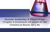 Human Anatomy & Physiology Chapter 2 (emphasis on pages 47-58)