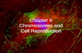Chapter  6 Chromosomes and Cell Reproduction