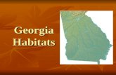 Georgia Habitats