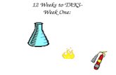 12 Weeks to TAKS-  Week One: