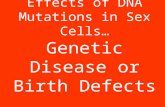 Effects of DNA Mutations in Sex Cells… Genetic Disease or Birth Defects