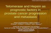 Telomerase and Hepsin as prognostic factors in prostate cancer progression and metastasis
