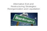 Alternative Exit and  Restructuring Strategies: Reorganization and Liquidation