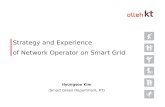 Strategy and Experience  of Network Operator on Smart Grid