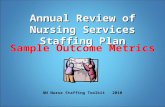 Annual Review of Nursing Services Staffing Plan