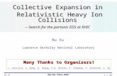 Collective Expansion in  Relativistic Heavy Ion Collisions -- Search for the partonic EOS at RHIC