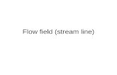 Flow field (stream line)