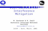 Post-Correlation Interference Mitigation
