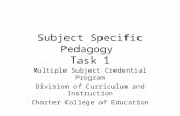 Subject Specific Pedagogy  Task 1