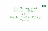Job Management Option (WLM) r11  Basic Scalability Tests