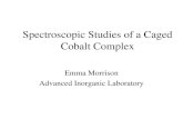 Spectroscopic Studies of a Caged Cobalt Complex
