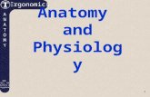 Anatomy  and Physiology