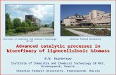 Advanced catalytic processes in  biorefinary  of  lignocellulosic  biomass