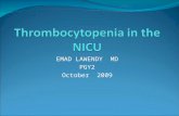 Thrombocytopenia in the NICU