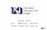 Derek Hill KCL, Imperial, Oxford ixi.uk