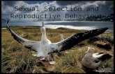 Sexual Selection and Reproductive Behaviour