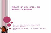 Impact of Oil Spill on Animals & Humans