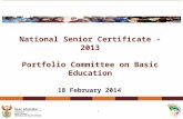 National Senior Certificate - 2013 Portfolio Committee on Basic Education