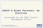 DSRIP & Bronx  Partners:  An Overview