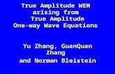 True Amplitude WEM  arising from  True Amplitude One-way Wave Equations