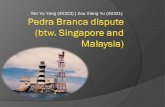 Pedra Branca  dispute  (btw. Singapore and Malaysia)