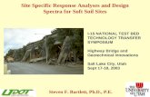 Site Specific Response Analyses and Design Spectra for Soft Soil Sites