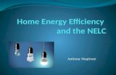 Home Energy Efficiency  and the NELC